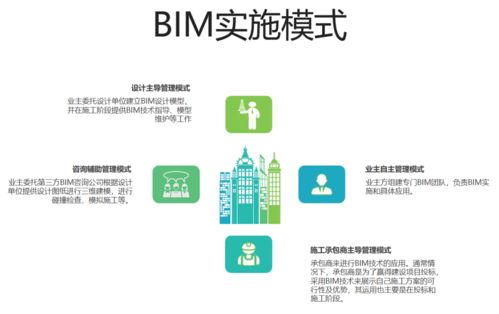 BIM技術(shù)在軟件開發(fā)中的應(yīng)用路徑與策略